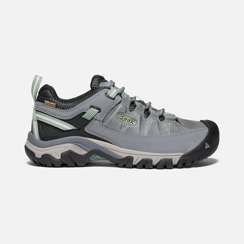 Keen Wandelschoenen Dames Grijs/Zwart - Targhee Iii Waterproof - 09627-SWAF